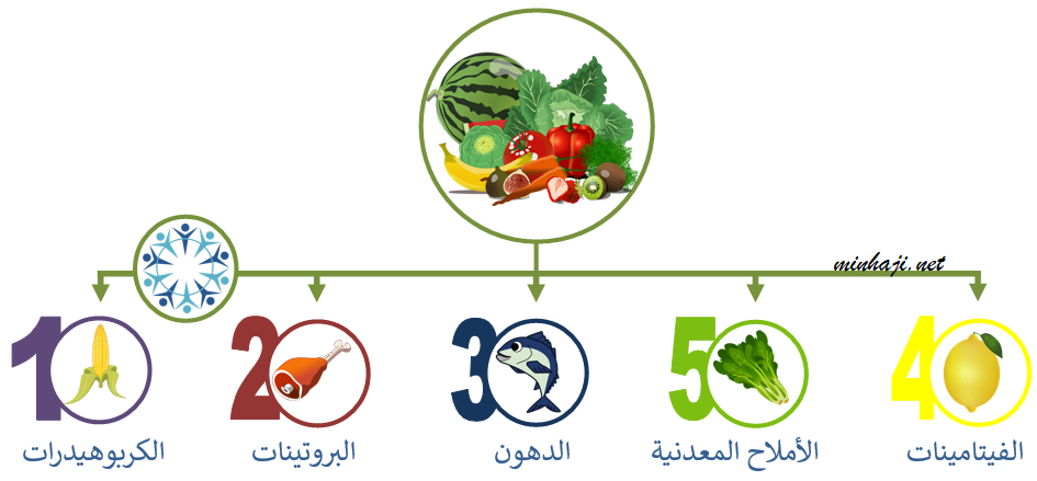 مجموعات الغذاء الرئيسة